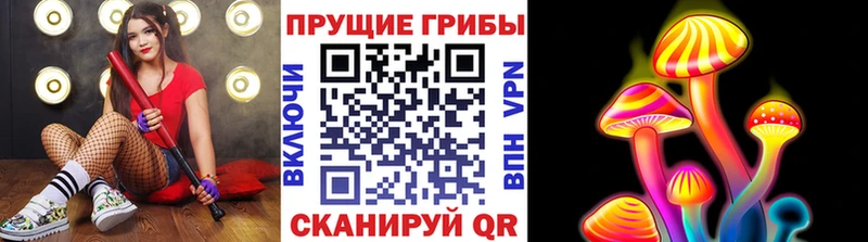 hydra сайт  Петухово  Псилоцибиновые грибы MAGIC MUSHROOMS  даркнет телеграм  где найти наркотики 